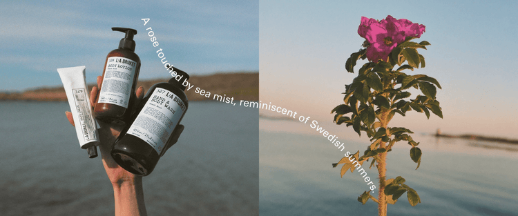 Beach Rose – Edizione Limitata di L:A Bruket - VG Charme
