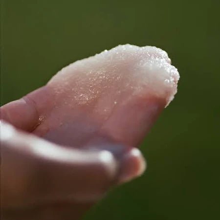 289 Scrub corpo al sale marino Angelica - L:A Bruket - Scrub corpo - VG Charme