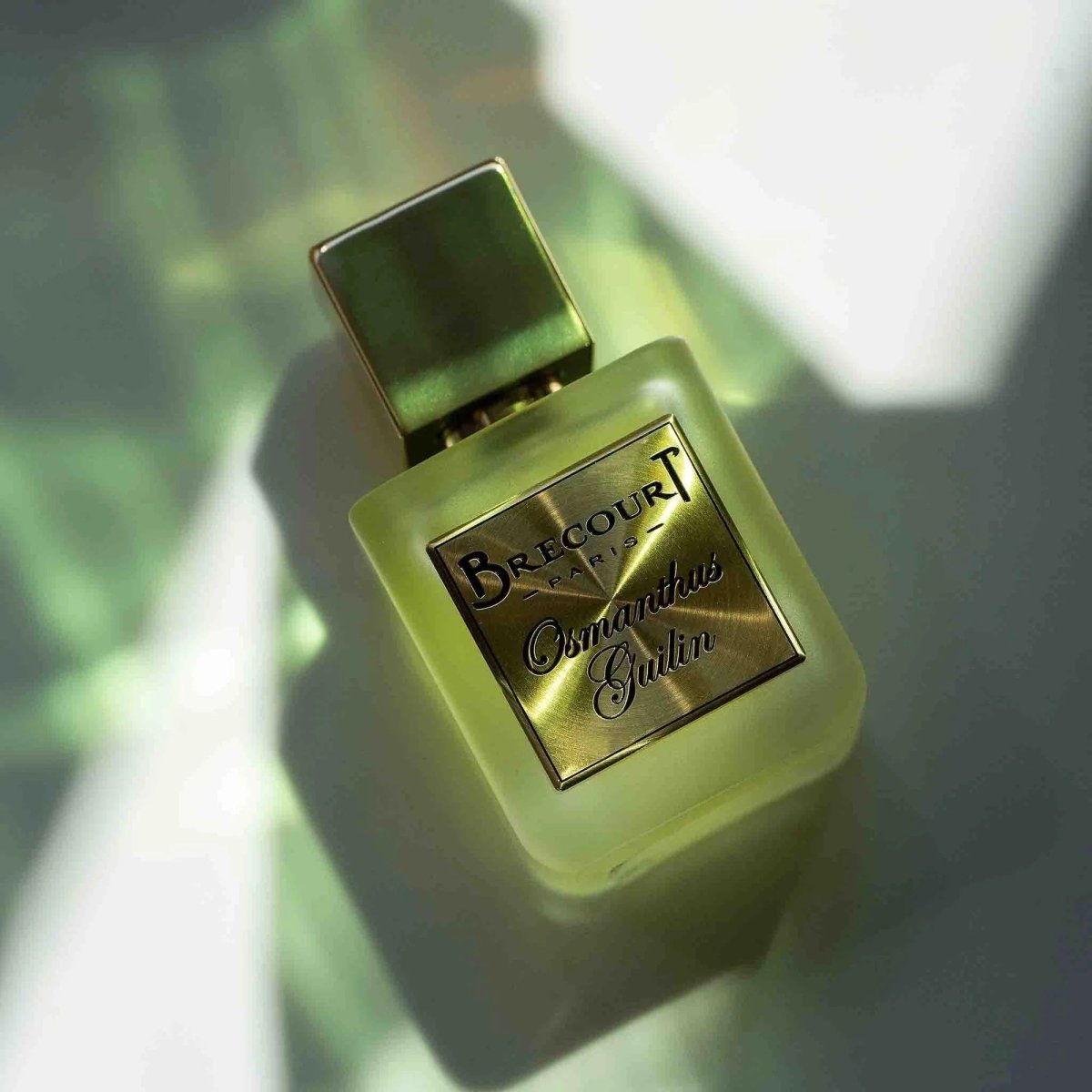 Osmanthus Guilin - Brecourt - Profumo - VG Charme