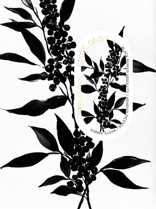 Spice Dust - Aroma Studium - Profumo - VG Charme