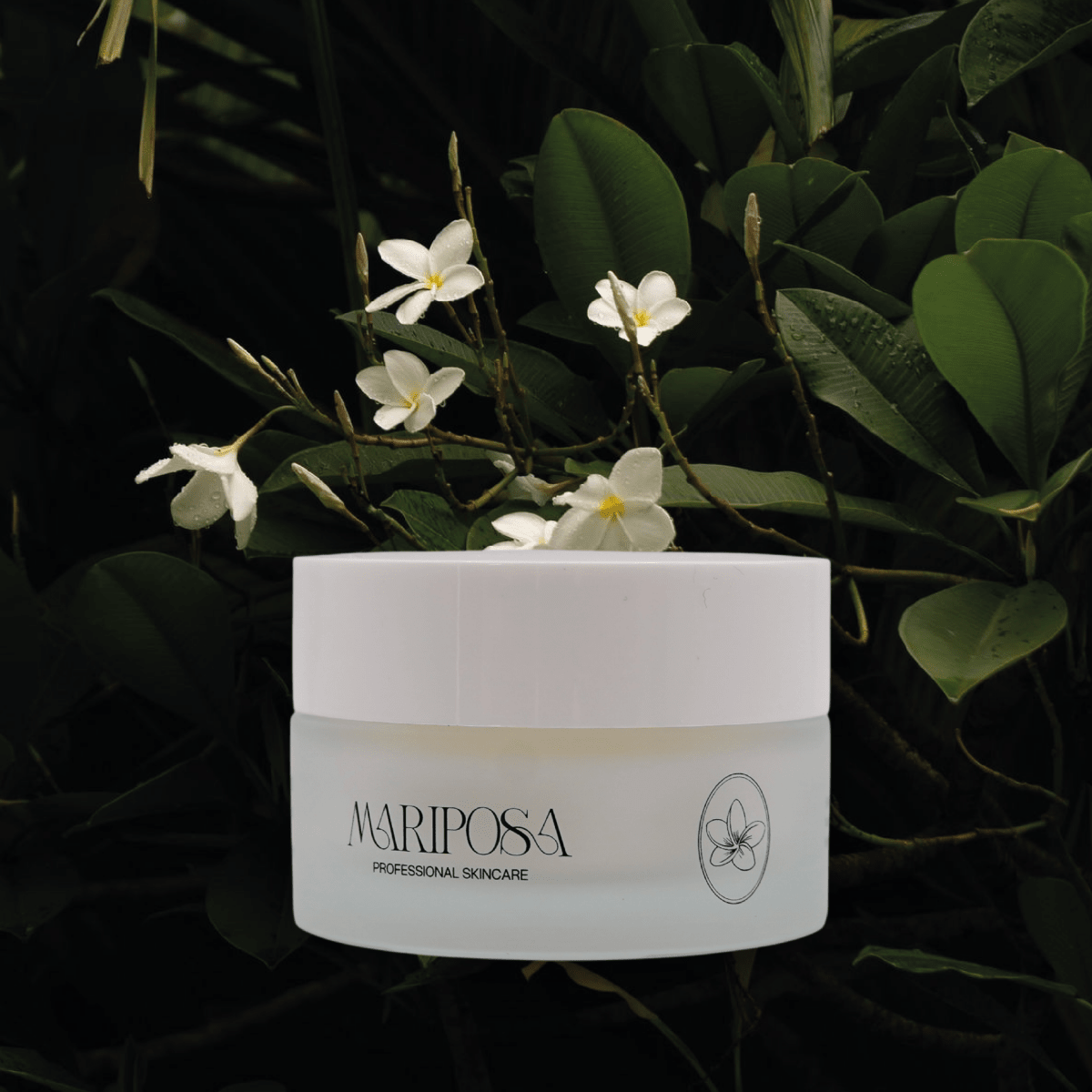 Crema Viso - Mariposa - Crema viso antietà - VG Charme