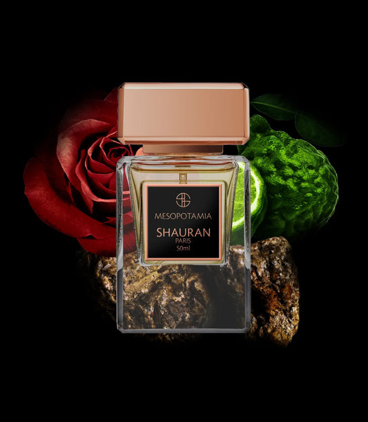 Mesopotamia - Shauran Paris - Profumo - VG Charme